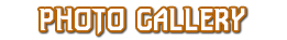 Photo Gallery